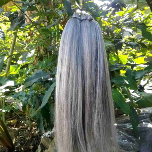 sambung cemara brontok uban panjang 80cm