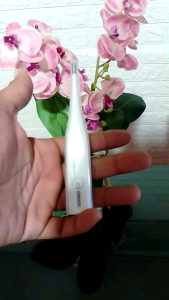 Omron Thermometer Digital MC246