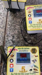 Máy ấp trứng gia cầm Bảo Hành 3Năm