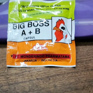BIG BOSS A+B obat birahi ayam tarung vitamin hormon breeding ayam dan burung merpati lebih bertenaga nafas kuat spt ernov