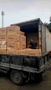 POPOK BAYI BERKUALITAS MERK HANUKA UKURAN S M L DAN XL  ISI 50pcs
