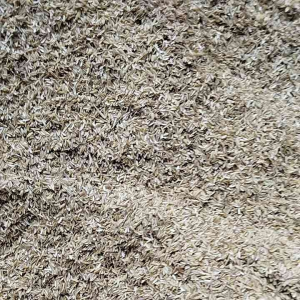 Sekam Mentah 1 Kg / Kulit Padi / Ampas Padi