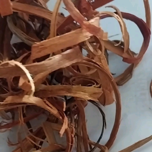 KAYU SECANG SERUT SUPER