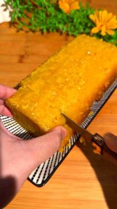Kue Bika Ambon Bersarang Manis 17x17 Kue Basah Jajanan Tradisional Acara Hajatan Selamatan