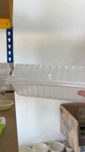 BX-210 Extra Big Lunch Box [ 50pcs± ] BENXON / TPI-500 Disposable PP Plastic Chicken Chop BX-210 Bekas Plastik / TPI-500