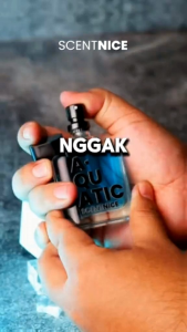 SIGNATUR SCANTNICE PARFUM FOR MAN WANGI AWET TAHAN LAMA ISI 3FCS
