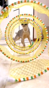 Littlepawty - Spiral Cat Tunnel Bell | Mainan Kucing Cat Toys Terowongan Mainan Interaktif Hewan Anabul Import