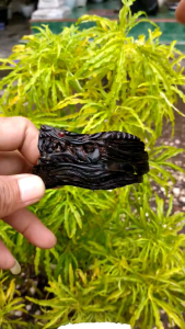 Gelang Akar Bahar Merah Bodi Hitam Ukir Full Naga