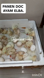 mesin tetas usb hemat listrik dc 5 volt kap. 50 butir