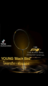 ไม้แบดมินตัน YOUNG รุ่น Black Bird