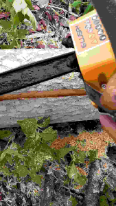 โซ่เลื่อยยนต์ ผ่าไม้ 3/8หลังโค้ง 20 นิ้ว 34 35 35.5 36ฟัน