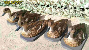 Jontrot Belibis Batu Burung Peliharaan Unik Aksesori Burung Terbaik - Lazada