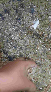 10 กิโล 280 บ. ปลาป่นจากปลาจิ้งจังแห้งแท้💯 ช่วยเพิ่มโปรตีน แร่ธาตุ ให้สัตว์เลี้ยง