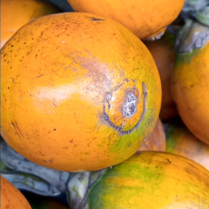 #หมากสด หมากสุก หมากนอกฤดู ตัดสดใหม่ จากต้น ส่งตรงถึงหน้าบ้าน หอมหมากใหม่ กรอบ มัน อรอ่ยถึงใจ ฝาดอย่างลงตัว เคี้ยวเพลิน ไม่ใช่หมากรว่ง ไม่ใช่หมากหล่น รับประกันไม่มีหนอน ร้านเปิดใหม่ กดสั่งซื้อตอนนี้ กดติดตามร้านแถมแบบจุกๆ 2กิโล 380บาท