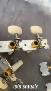 Drayer Gitar Akustik: Pilihan Ideal untuk Pemula