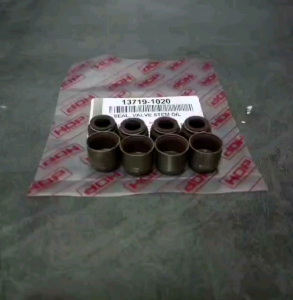 Seal Klep Dyna 125HT Dutro 130HT / Valve Stem Oil HT125 HT130 / Sil