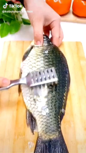 Alat Pembersih Sisik Ikan Tahan Lama & Berkualitas