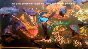 BOB Pelet Ikan Hias PBass Mencerahkan Warna/ Blok Hitam Pekat 100 gram