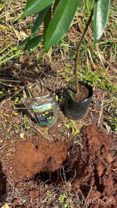 ฮิวมิคโปรพลัส แร่ธาตุบำรุงดินและพืช