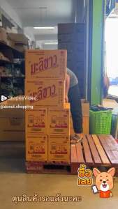 ยากันยุงมะลิขาว ยกแพค ทั้งแบบขดแล้วแท่ง ไม่เหม็น สำหรับปลอดภัย