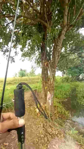 Softrog 28 cm Killer: Desain Ergonomis & Ukuran Ideal