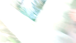 venturi cabang valve male