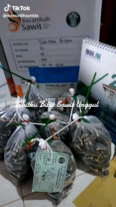 BIBIT SAWIT BENIH UNGGUL PPKS LANGKAT (MEDAN)