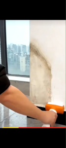 Environmentally friendly latex paint大滚筒漆水性白墙去污神器墙壁刷白翻新漆修复白色环保乳胶漆