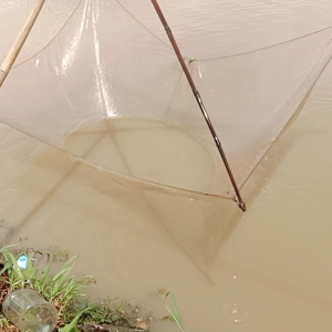 Kelambu Anco Ukuran 3x3 Meter Siap Dipasang