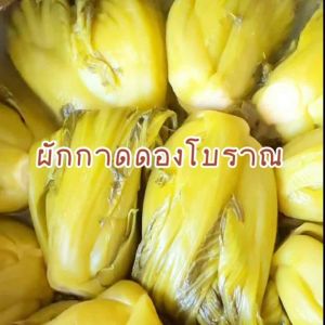 ผักกาดดอง ผักกาดดองโบราณ ผักกาดดองน้ำซาวข้าว ไม่ใส่สี ไม่ใส่น้ำส้ม ไม่ใส่สารกันรา ไม่ใส่สารกันเสีย