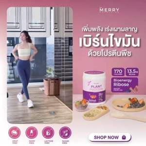 Merry Plant Protein โปรตีนพืช 5 ชนิด : รส Mixed Berry Flavor 1 กระปุก 2.3lb. / 1050g.