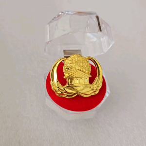 Pin Korpri Peniti Premium Plus Box