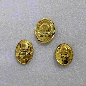 Pin Korpri Oval Tumpuk Premium Mengkilap