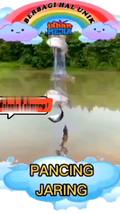Jaring Model Pancing: Jaring Pancing Berkualitas Untuk Pancingan