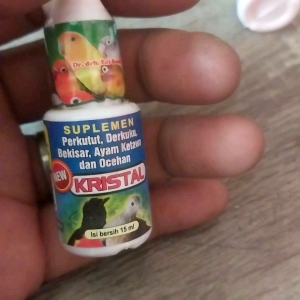 Kristal Penggacor Burung Suplemen Burung Ocehan Perkutut Tekukur Ayam Bekisar Ayam Ketawa