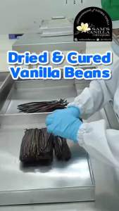 ฝักวานิลาเกรด A แพ็ค 20 ฝักฉ่ำๆ เมล็ดเต็มๆ มี อ.ย.&OTOP รับประกัน ฝักใหญ่ฉ่ำๆ เมล็ดเต็มๆ หอมทะลุซอง Vanilla Beans Big size(16-22cm) Full Aroma 99฿/Pods