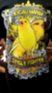kaos kicau mania burung kenari bisa cod