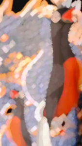 kaos kicau mania murai batu