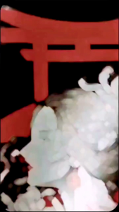 Kaos Murai Batu Kicau Mania & Kaos Gantangan