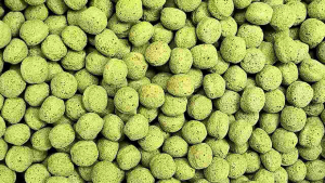 เม็ดสีเขียว..Smartheart อาหารนกขุนทอง นกเอี้ยง นกซอฮู้ นกกาเหว่า (แบ่งขาย 500 G.)