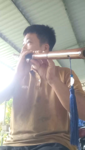 Sáo mèo nam gốc trúc