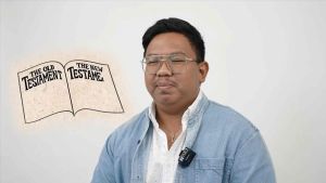 Unleavened bread chips