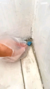 Kurato Racun Tikus Ampuh Super Tuntas WaxBlock Umpan Praktis Siap Pakai