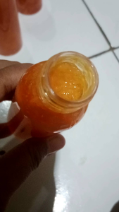 Manfaat Papaya Untuk Kesehatan