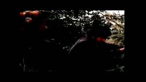 ชุดหนังสือ 2-15 ตัวเอง เป็นชาตรี พระเอกสรพงษ์ อยู่ในหนังตระเทียม USB 32GB สำหรับชุดหนังไทยเก่า