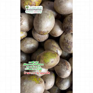 มะกอกป่า 2แบบ - มะกอกใส่ส้มตำ มะกอกลาว มีให้เลือก