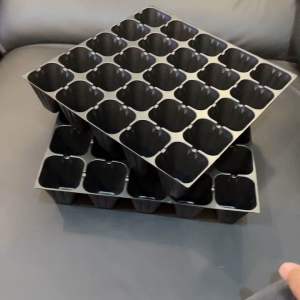 Pottray Alat Semai 25 Lubang Custom: Solusi Praktis untuk Pertanian