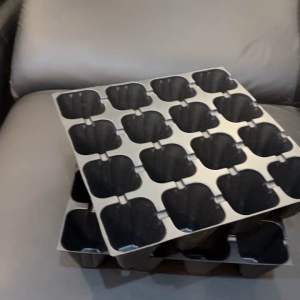 Pottray 16 lubang custom