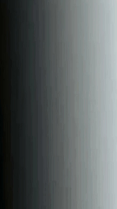 Pakan Burung Macau Kakak Tua Sun Conure Kaya Nutrisi exCor 1 KG