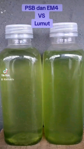 PSB Photosynthetic Bacteria Powder 20g /光合菌纯菌种/Kawalan Kualiti Air Akuarium / PSB+/Aquarium Care/pure culture